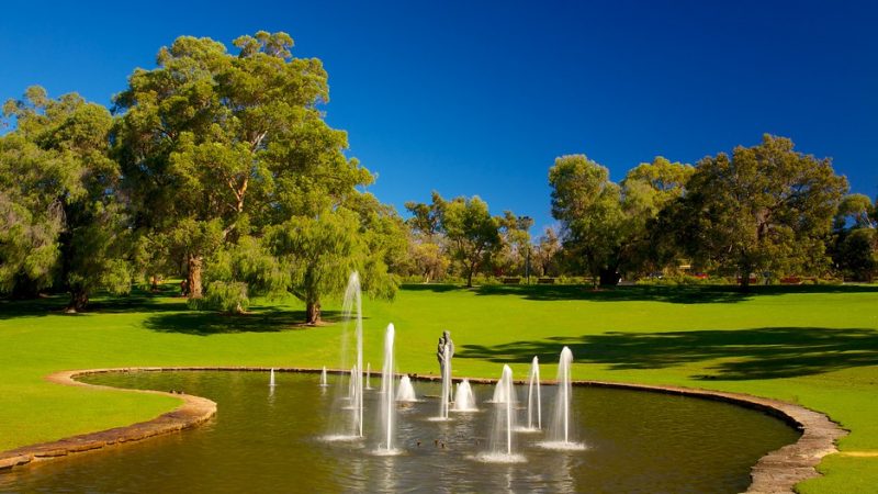 Kings-Park-And-Botanic-Garden-40100